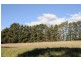 Part Lot 24 Willow Drive, Moss Vale NSW 2577