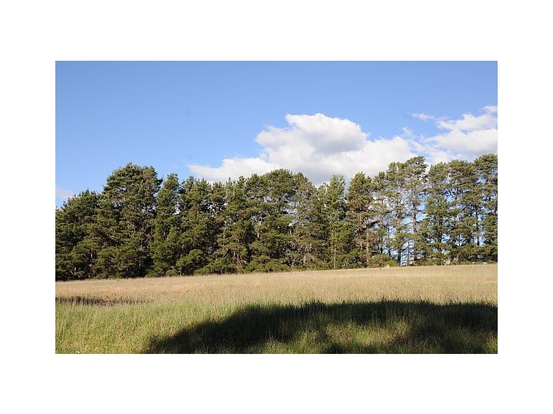 Part Lot 24 Willow Drive, Moss Vale NSW 2577