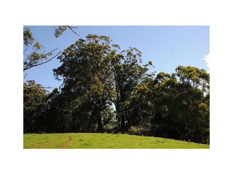 70 Warreeah Lane, Kangaloon NSW 2576