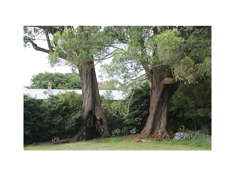 Lot 1 Hoddle Street, Burrawang NSW 2577