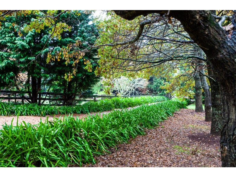 22 Burrawang Station Road, Burrawang NSW 2577