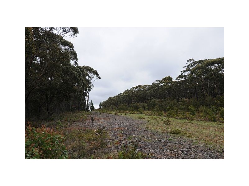 Lot 5, 500 Hanging Rock Road, Sutton Forest NSW 2577