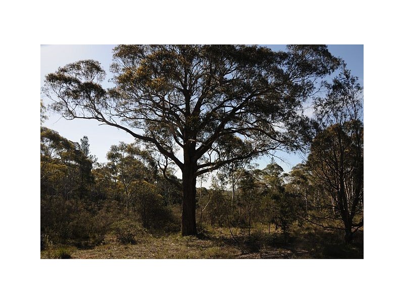 Lot 5, 500 Hanging Rock Road, Sutton Forest NSW 2577