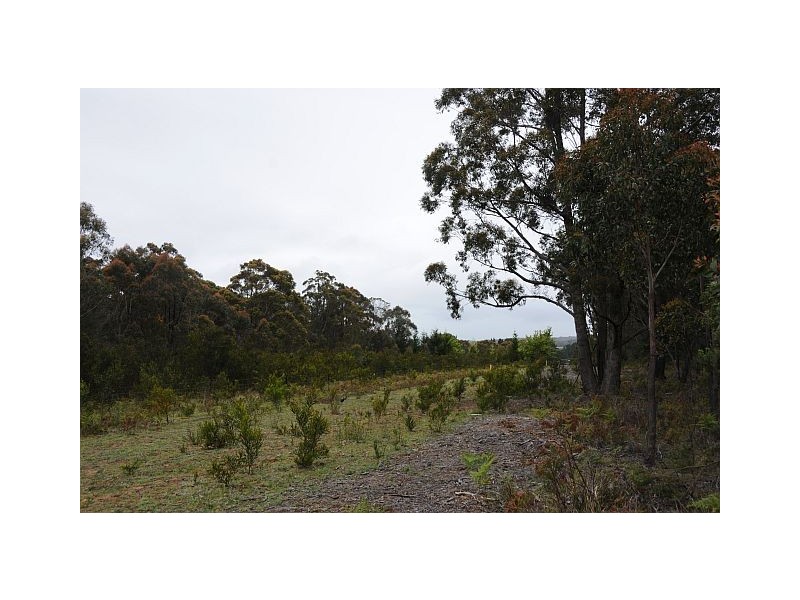 Lot 5, 500 Hanging Rock Road, Sutton Forest NSW 2577