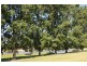 271 Exeter Road, Sutton Forest NSW 2577