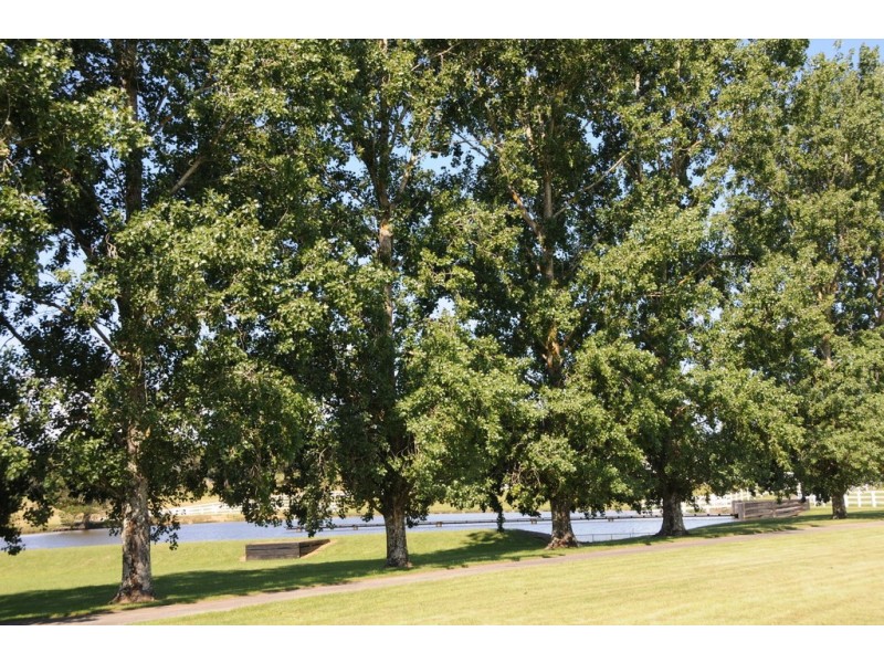 271 Exeter Road, Sutton Forest NSW 2577