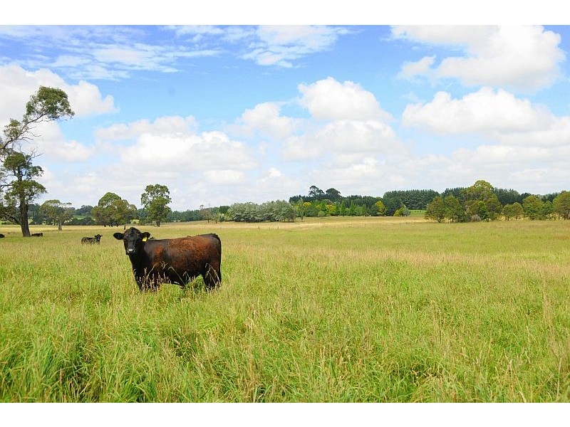 Lot 318 Illawarra Highway, Moss Vale NSW 2577