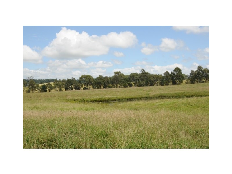 Lot 318 Illawarra Highway, Moss Vale NSW 2577