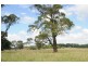 Lot 318 Illawarra Highway, Moss Vale NSW 2577