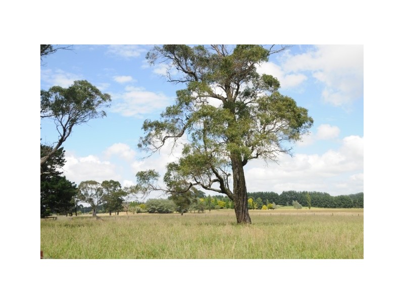 Lot 318 Illawarra Highway, Moss Vale NSW 2577