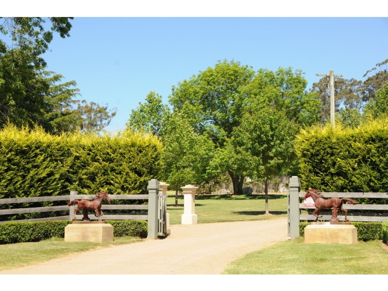 1025 Old Hume Highway, Alpine NSW 2575