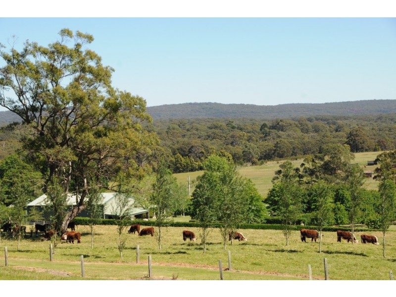 1025 Old Hume Highway, Alpine NSW 2575