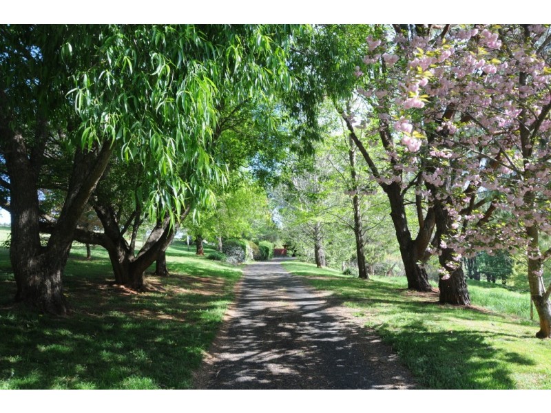 64 Moresby Hill Road, East Kangaloon NSW 2576