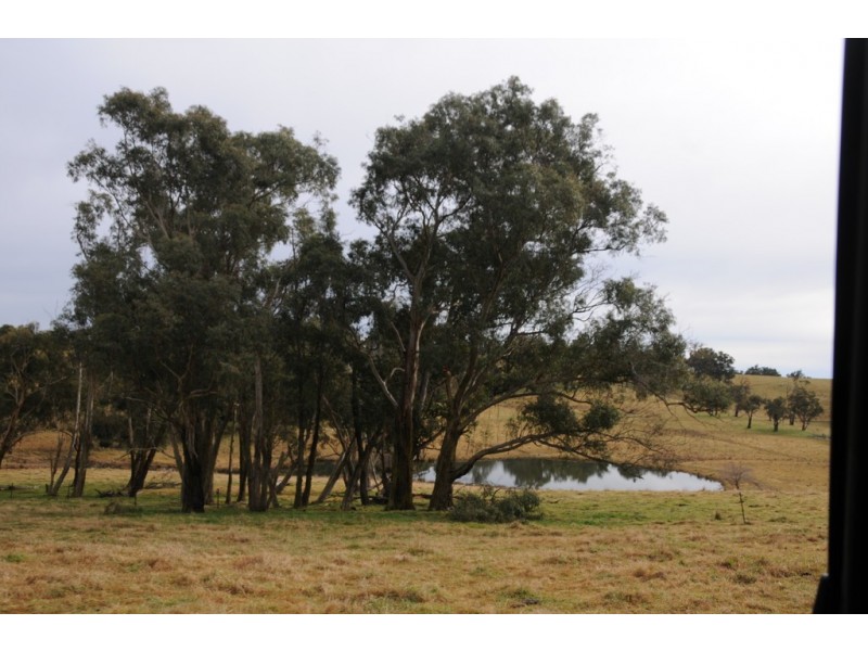 380 Woodlands Road, Woodlands NSW 2536