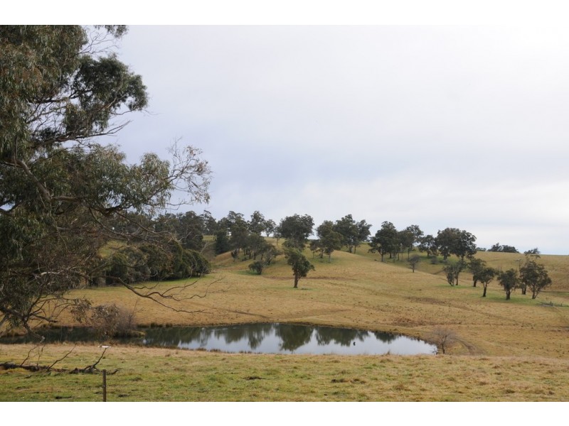 380 Woodlands Road, Woodlands NSW 2536