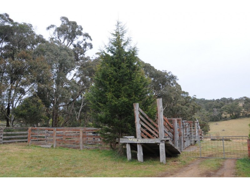 380 Woodlands Road, Woodlands NSW 2536