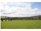 360 Tourist Road, Glenquarry NSW 2576