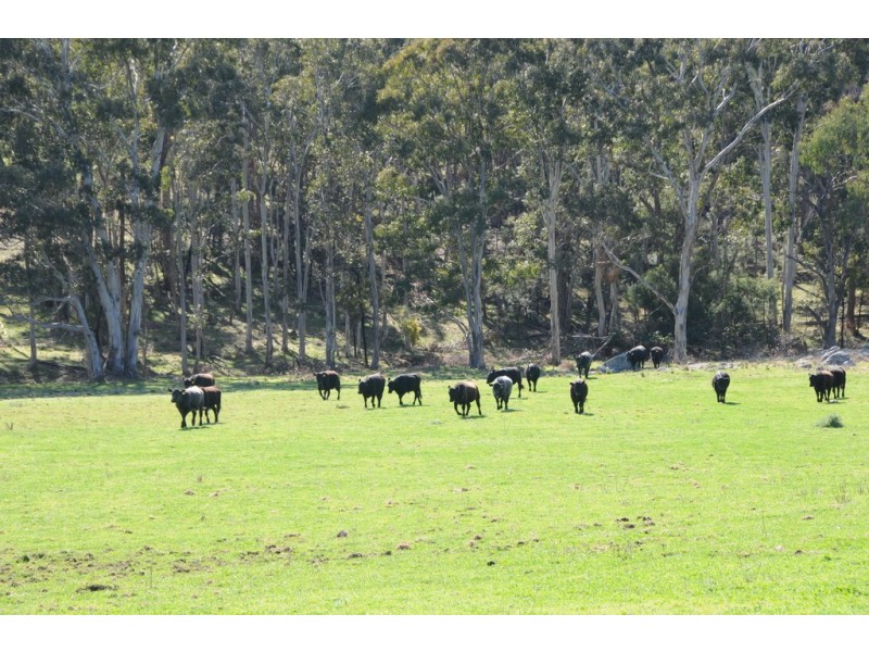 170 Jacks Valley Road, Joadja NSW 2575