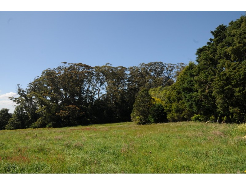 54 Caalong Street, Robertson NSW 2577