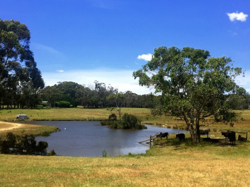 182 Somerset Road, Fitzroy Falls NSW 2577