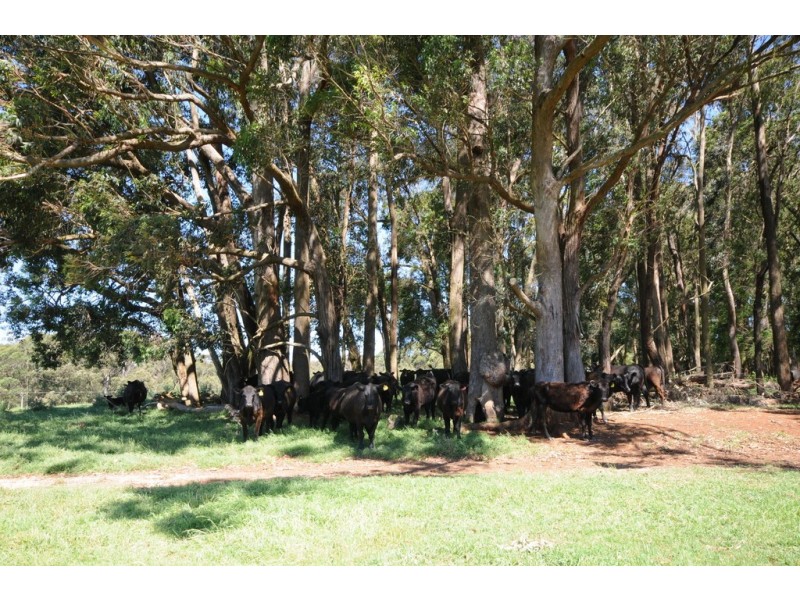 182 Somerset Road, Fitzroy Falls NSW 2577