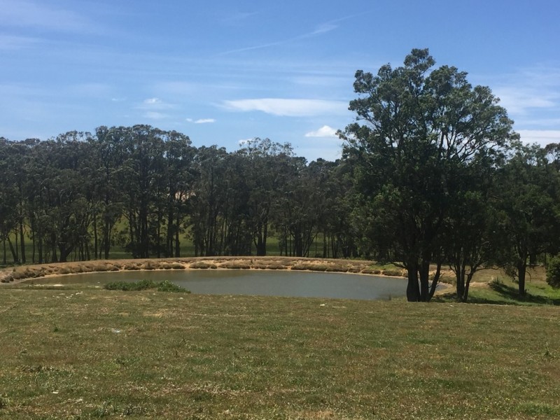 180 Somerset Road, Fitzroy Falls NSW 2577