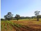 78 Wildes Meadow Road, Wildes Meadow NSW 2577