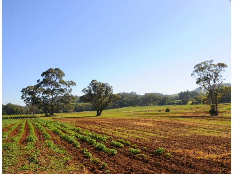 78 Wildes Meadow Road, Wildes Meadow NSW 2577