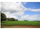 78 Wildes Meadow Road, Wildes Meadow NSW 2577