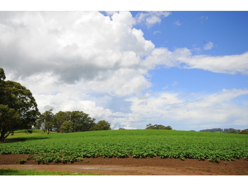 78 Wildes Meadow Road, Wildes Meadow NSW 2577