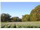 78 Wildes Meadow Road, Wildes Meadow NSW 2577