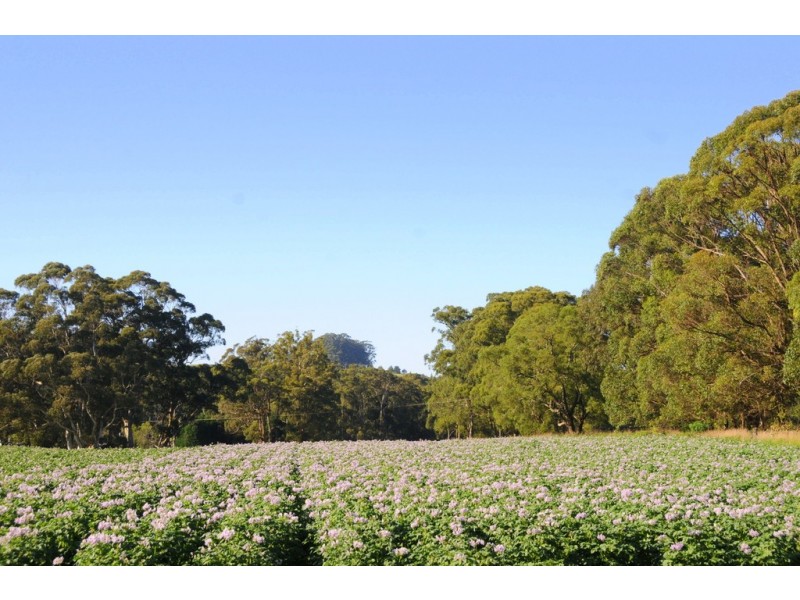 78 Wildes Meadow Road, Wildes Meadow NSW 2577