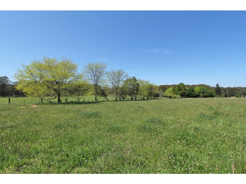 55 Yarrunga Road, Wildes Meadow NSW 2577