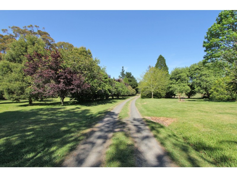 55 Yarrunga Road, Wildes Meadow NSW 2577