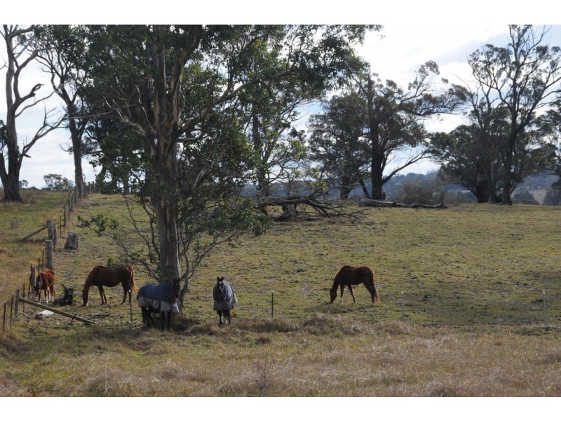 33 Carribee Road, Moss Vale NSW 2577