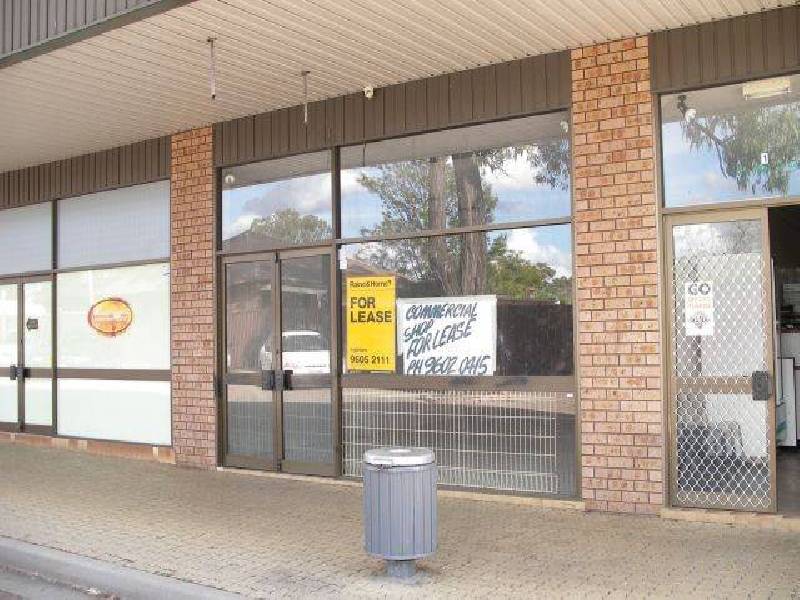 Macquarie Fields NSW 2564