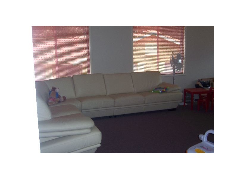 17 Jersey Parade, Minto NSW 2566