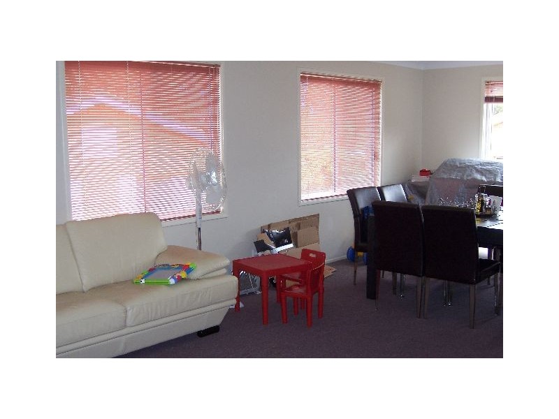 17 Jersey Parade, Minto NSW 2566