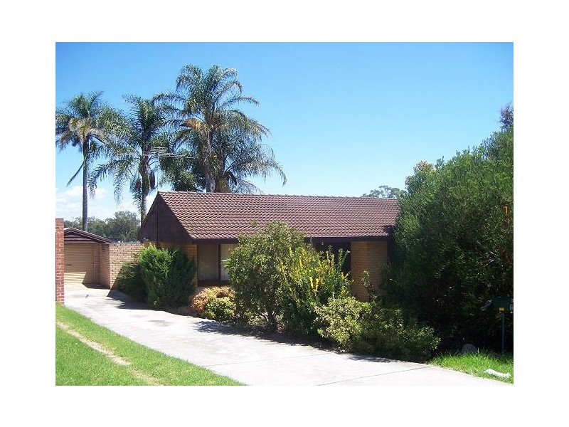 Macquarie Fields NSW 2564