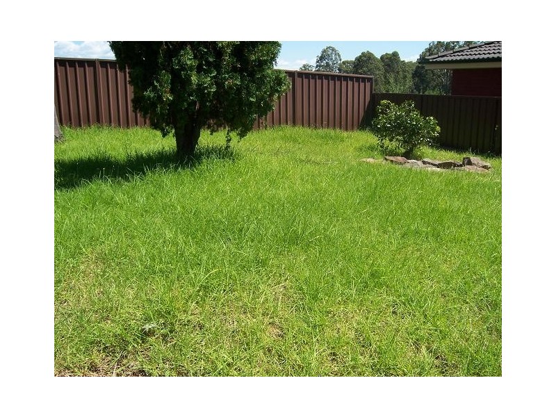 Macquarie Fields NSW 2564