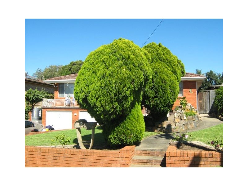 Campbelltown NSW 2560