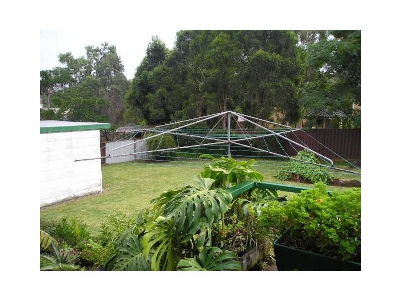 Macquarie Fields NSW 2564