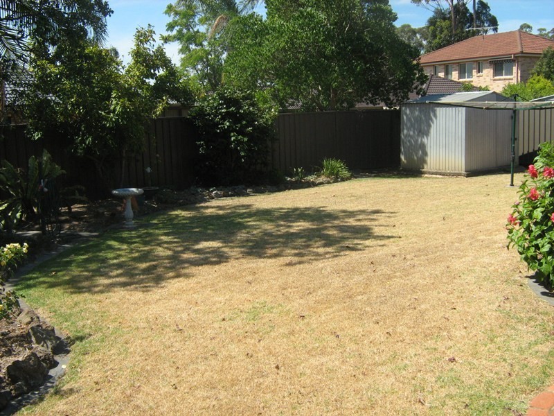 Macquarie Fields NSW 2564