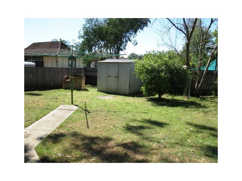 Macquarie Fields NSW 2564