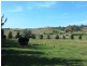 20 Camden Road, Douglas Park NSW 2569