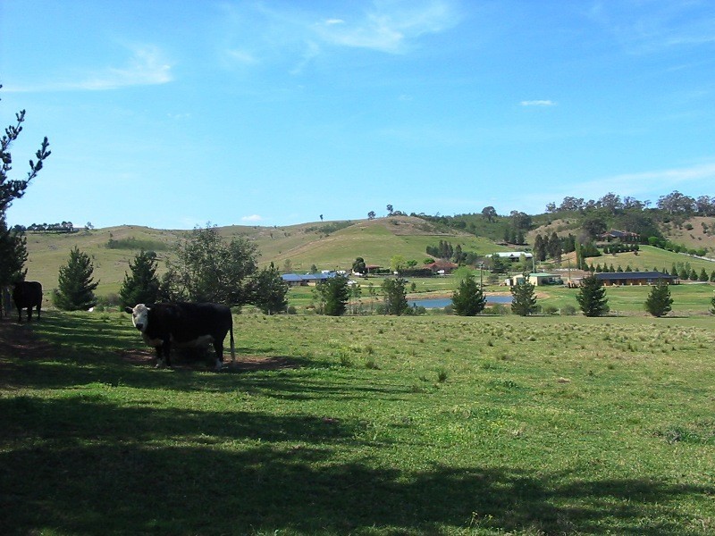 20 Camden Road, Douglas Park NSW 2569