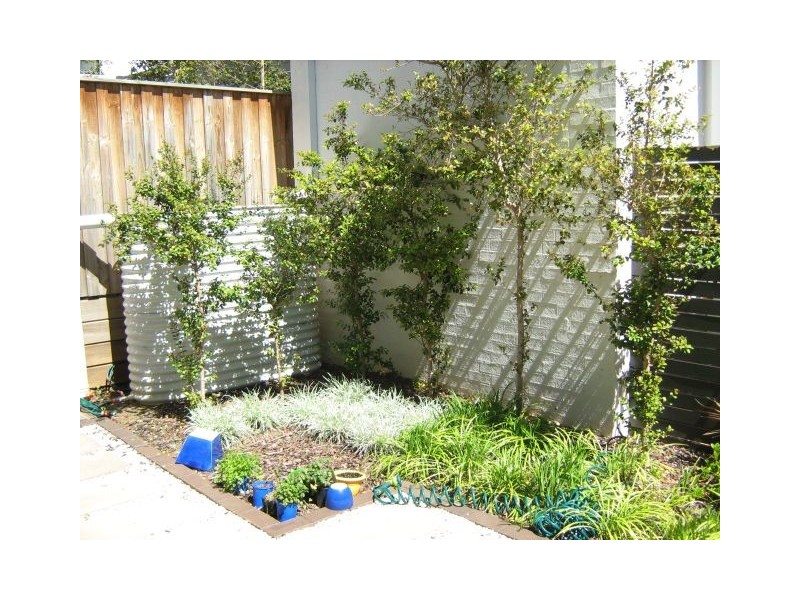 Campbelltown NSW 2560