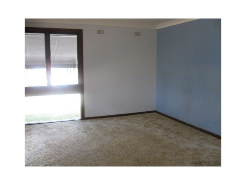 Macquarie Fields NSW 2564