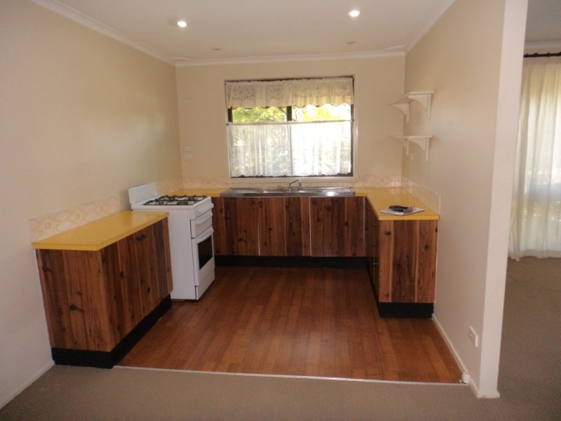 102 Lancia Drive, Ingleburn NSW 2565