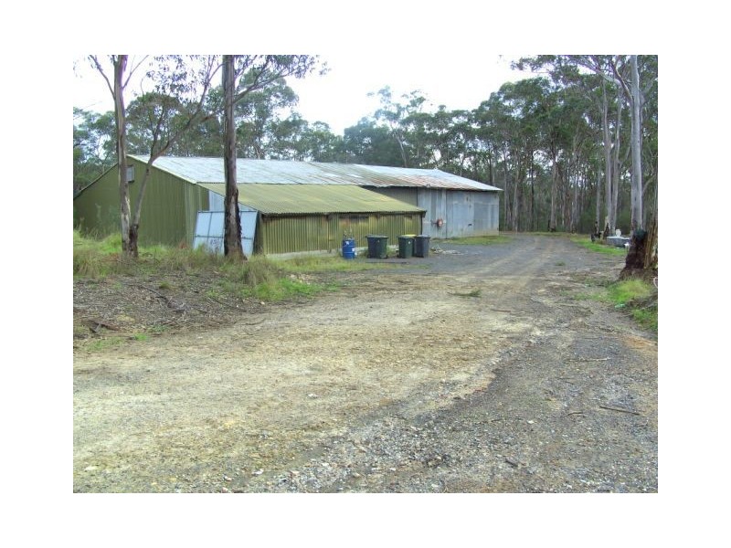 55 Hansens Road, Minto NSW 2566